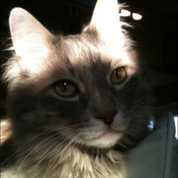 Meet your Posher, Jan - Picture 5 of 10